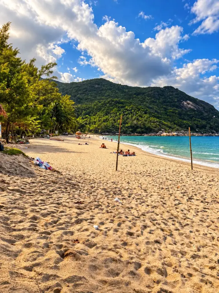 רצועת החול של Bottle Beach והגבעות הירוקות סביב המפרץ