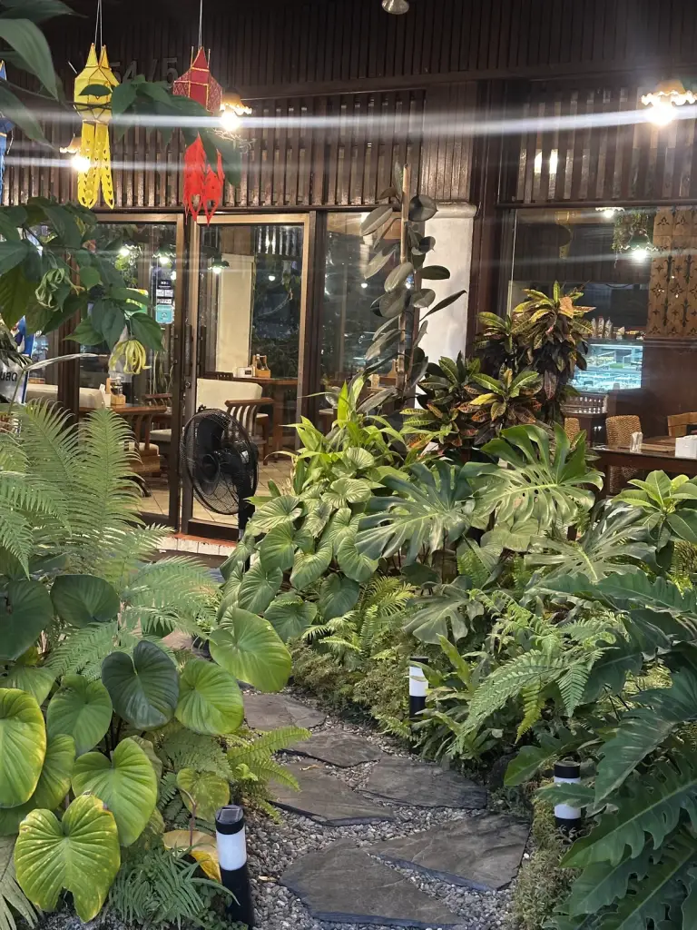 צמחייה בבית קפה בצ׳יאנג מאי