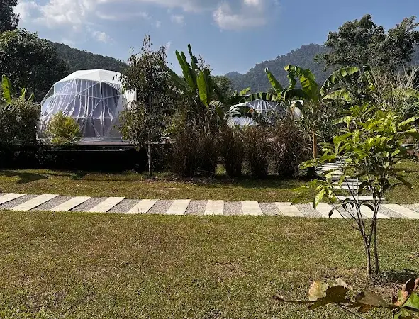 אוהל כיפה בגלמפינג Cosy Garden Khao Sok, והרים ירוקים ברקע