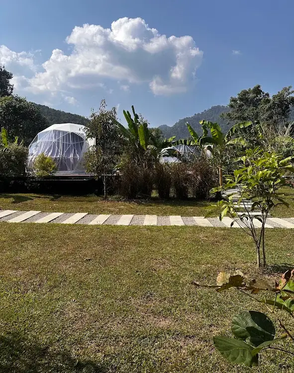 אוהל כיפה בגלמפינג Cosy Garden Khao Sok, והרים ירוקים ברקע