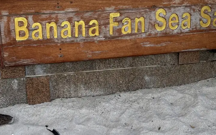 השלט של Banana Fan Sea Samui על החול