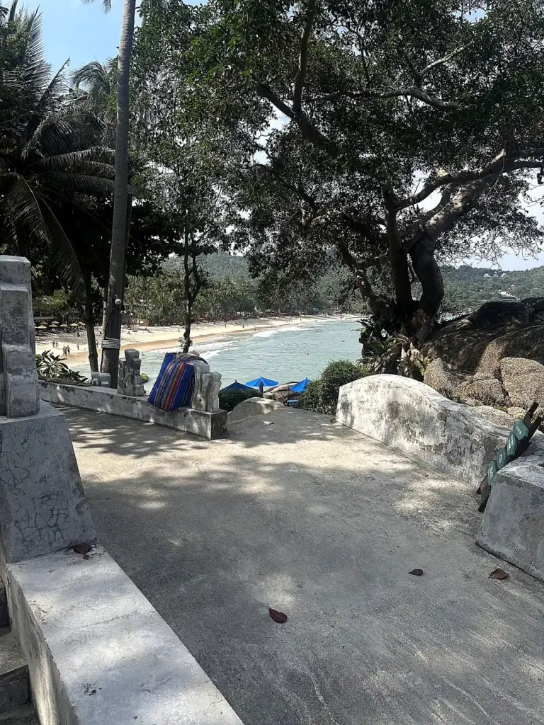 השביל שיורד לחוף של תונג נאי פאן נוי בין העצים